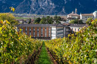 FEM panoramiche autunno  9868 LR