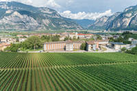 Fondazione-Edmund-Mach-2019-Bassa-Risoluzione-Foto-Marco-Parisi-42