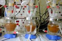GUT-MODEL_NUTRIZIONE-E-NUTRIGENOMICA-3_popup