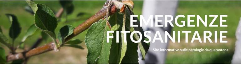 header per fmach