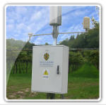 icon_network2