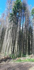 IMG-20210730-WA0008