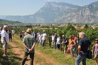 in campo_incontro vite bio -3