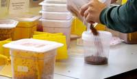 laboratorio contenitori versamento mosche