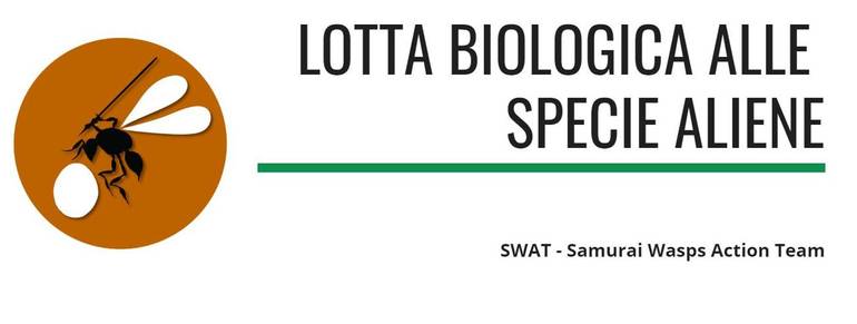 logo swat