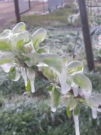 mattina 8 aprile  trento sud 3