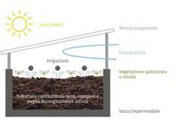 principio di funzionamento di sistemi biologici