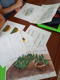 progettazione aiuole corso verde