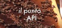 punto api
