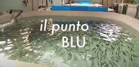 PUNTO BLU