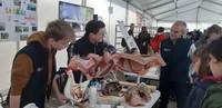 Studenti FEM al polo zootecnico_2