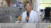 troggio