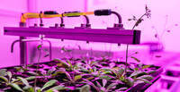 Unita-Ecogenomica-2022-Foto-Marco-Parisi-2_Stazioni-di-irrigazione-e-pesatura_medium