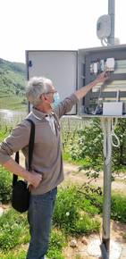 vigneto smart 3