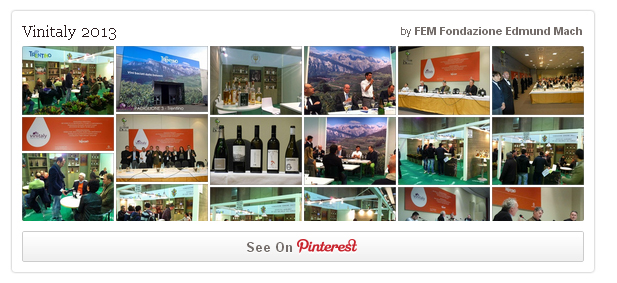 widget vinitaly 2013