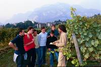Cercasi studenti rilevatori per il VI Censimento dell'agricoltura