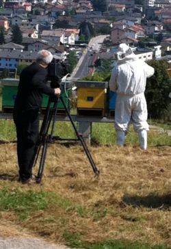 Video FEM .... lavori in corso 