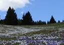 fp_ambiente_7