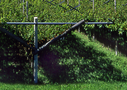 fp_programma_vitevino_tr5