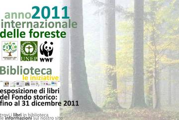 Anno internazionale delle foreste