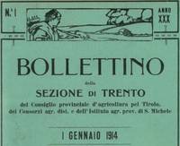 Buon Anno!
