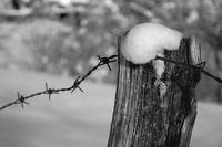 Memoriale della shoah per non dimenticare... foto di Federico Zanone