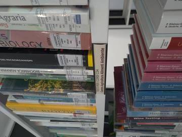 novità in biblioteca