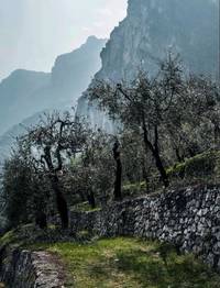 Fonte: Atlante dei paesaggi terrazzati del Trentino meridionale 2017
