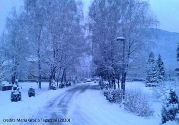 credits Maria Grazia Tegazzini