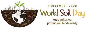 world soil day 2020