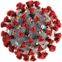 by CDC/ Alissa Eckert, MS; Dan Higgins, MAM PD - https://commons.wikimedia.org/w/index.php?curid=86444014