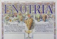 Il mercato dei vini nei libri dell'Ottocento