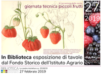 Piccoli frutti: dal Fondo storico agli ebooks