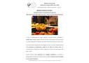 Mindfulness eating locandina