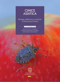 Cimice asiatica