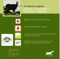Il camoscio alpino