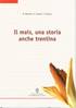 Il mais : una storia anche trentina
