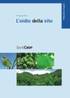 L'oidio della vite