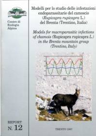 Modelli per lo studio delle infestazioni endoparassitarie del camoscio (Rupicapra rupicapra L.) del Brenta (Trentino, Italia)