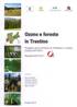 Ozono e foreste in Trentino