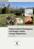 Produrre latte da Trentingrana e formaggi a media e lunga stagionatura