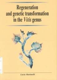 Regeneration and genetic transformation in the Vitis genus