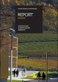 copertina report CRI 2015-2016