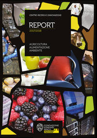 copertina report CRI 2017-2018