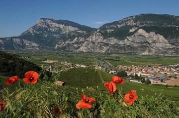 Avviso permanente operai agricoli stagionali presso l’Azienda Agricola