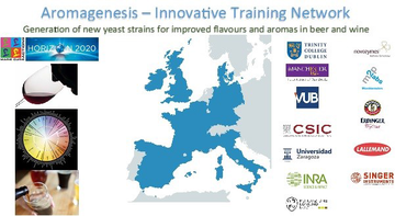 N. 1 (one) temporary position for 36 months within the project AROMAGENESIS n° 764364 – Generation of new yeast strains for improvement flavours...