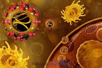 N. 1 (una) posizione a tempo determinato per n. 36 mesi di Ricercatore di terza fascia nel settore dell’ecologia ed epidemiologia molecolare (204_...