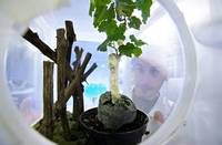 N. 1 (una) posizione a tempo indeterminato di Ricercatore di terza fascia nel settore dell'evoluzione e filogenesi molecolare di microrganismi ed in...