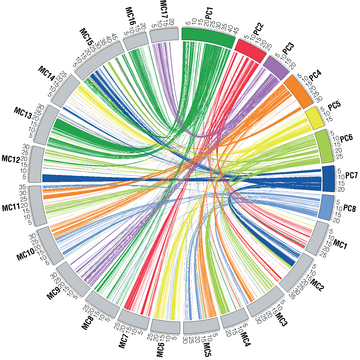 N. 1 (una) posizione a tempo indeterminato di Ricercatore di terza fascia nel settore della Genomica Comparativa (203_CRI_GCR3) - scadenza 16 giugno...