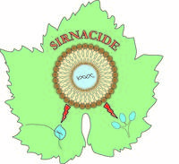 N. 1 (one) temporary position for 24 months* as Fourth level researcher (R4) in the field of plant RNA molecular biology (310_CRI_RMB) - deadline fo...